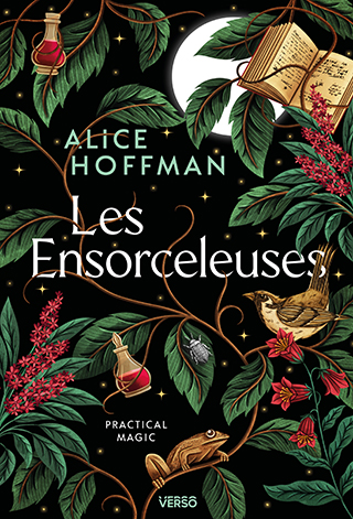 Couverture Les ensorceleuses